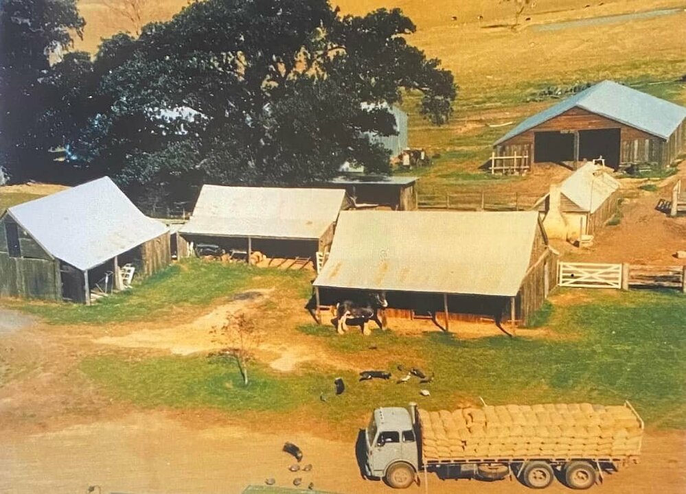 Stanhope Park Dairy