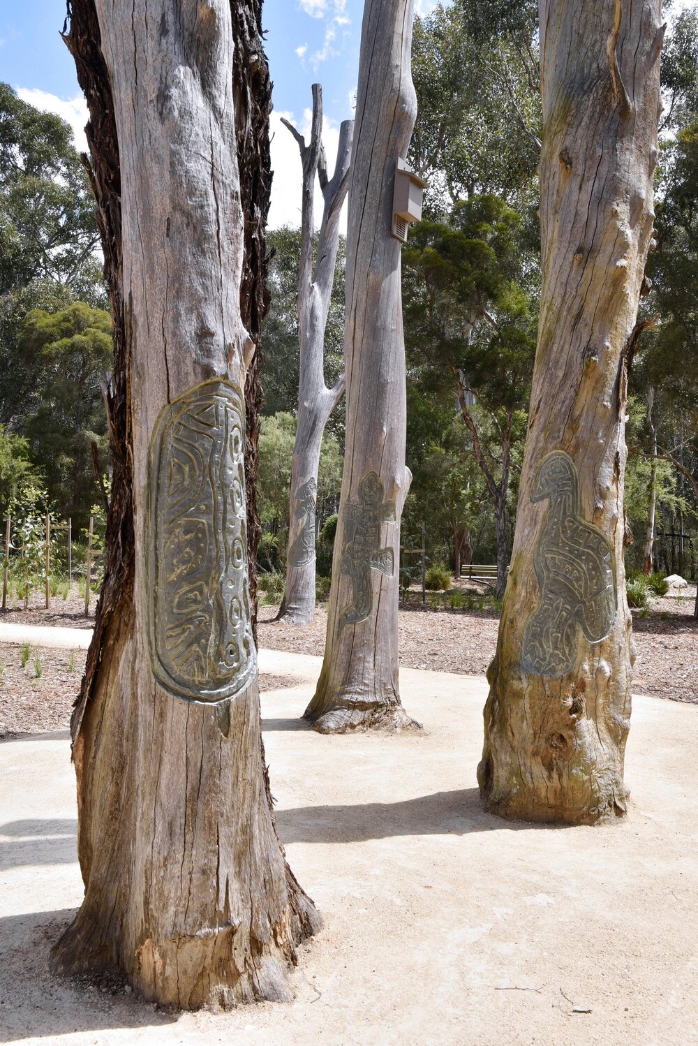 Aboriginal Heritage Garden, Nurragingy Reserve, Doonside