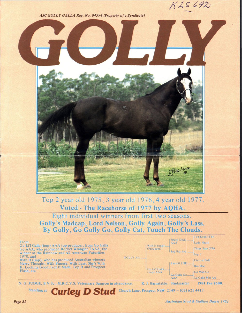Curley D Stud, Australian Stud and Stallion Digest, 1981