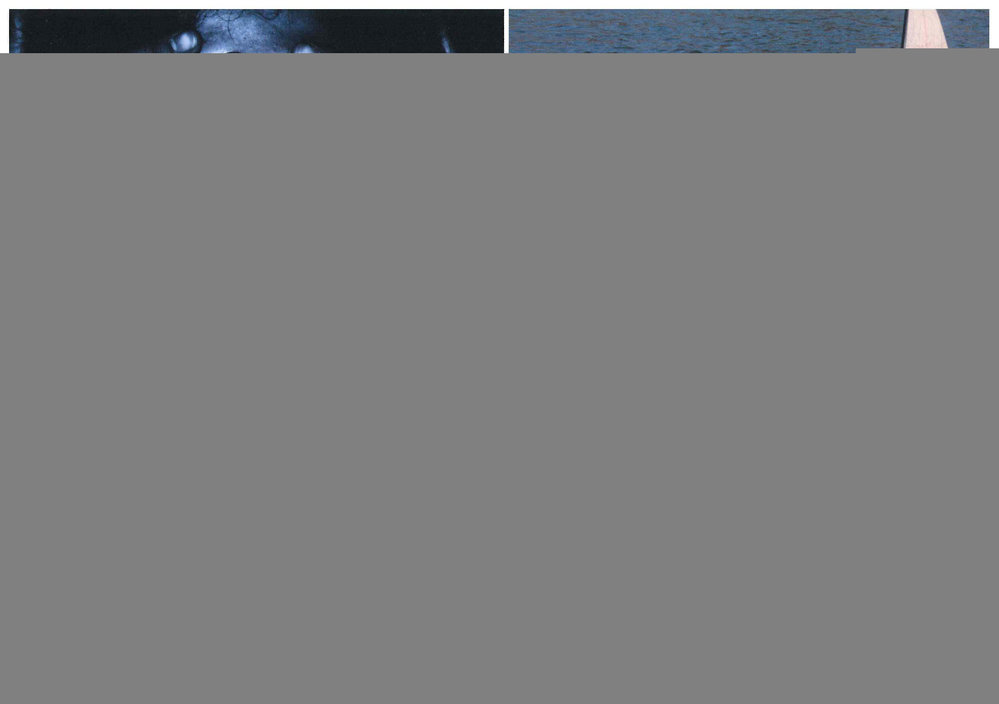 Reside and Cant Chant Art Exhibitions, 2010