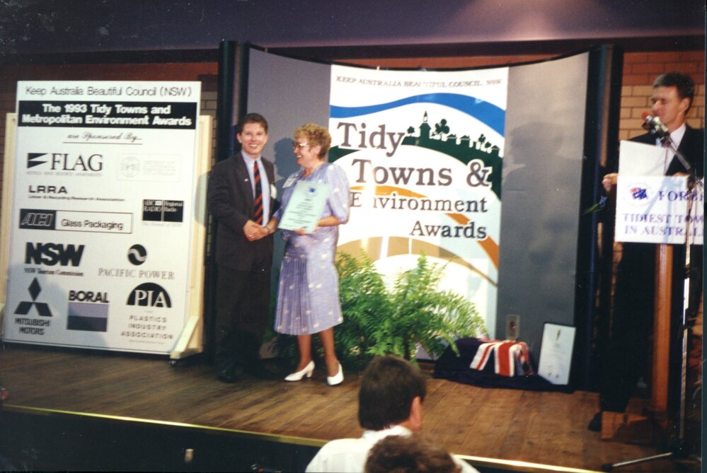 Tidy Towns &amp; Environment Awards, 1993