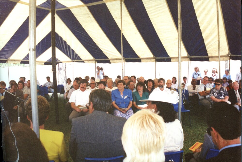 Battle of Vinegar Hill Commemorative Ceremony, 1993