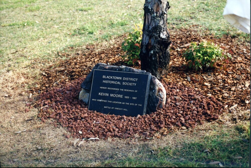 Battle of Vinegar Hill Commemorative Ceremony, 1993