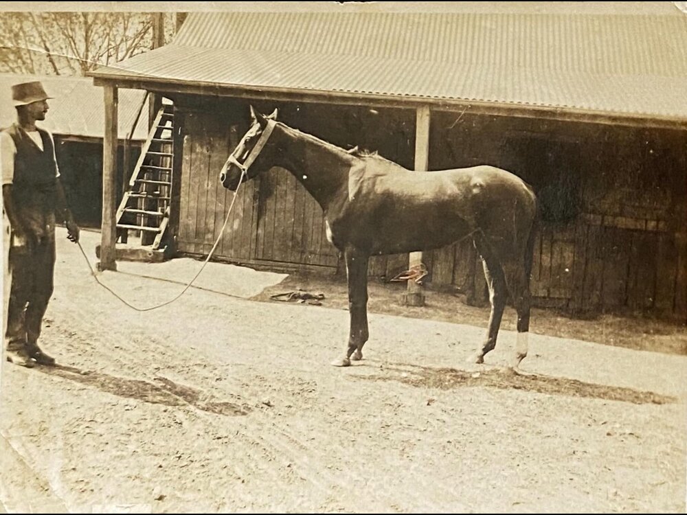 Albert Jamison at Stanhope Stables
