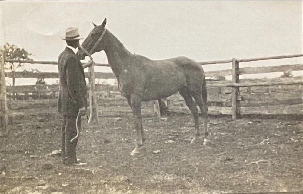 Albert Jamison with horse in yard at Stanhope Park Dairy