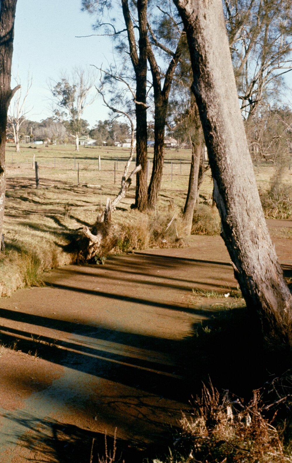 Bells Creek at Native Institution site, Oakhurst