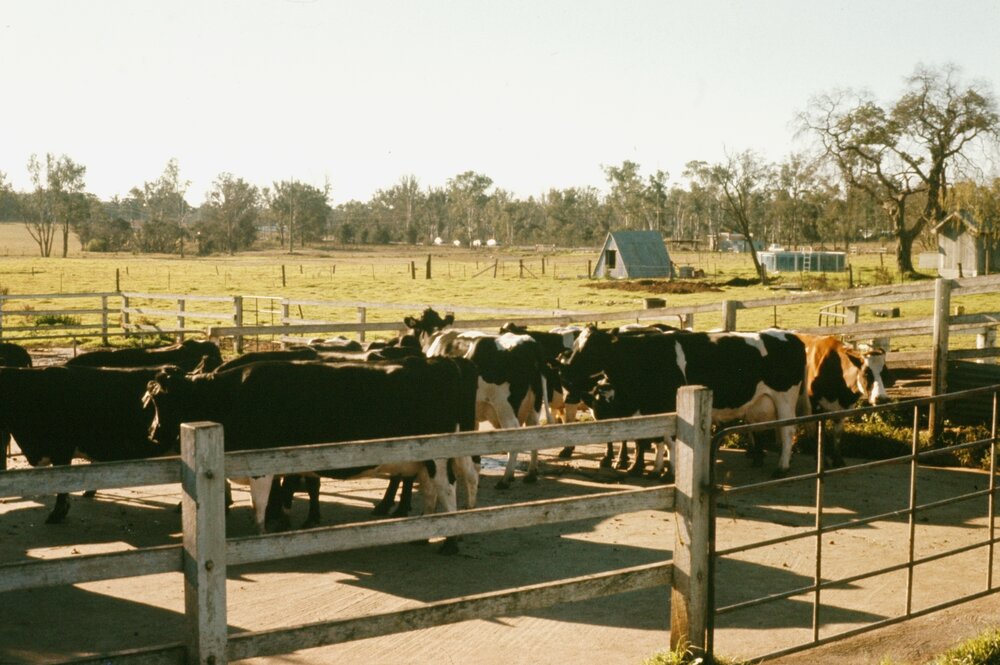 Blacktown Native Institution site, Oakhurst