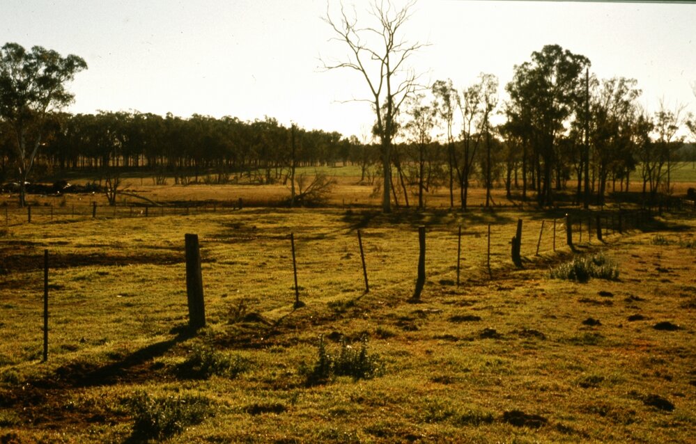 Blacktown Native Institution site, Oakhurst