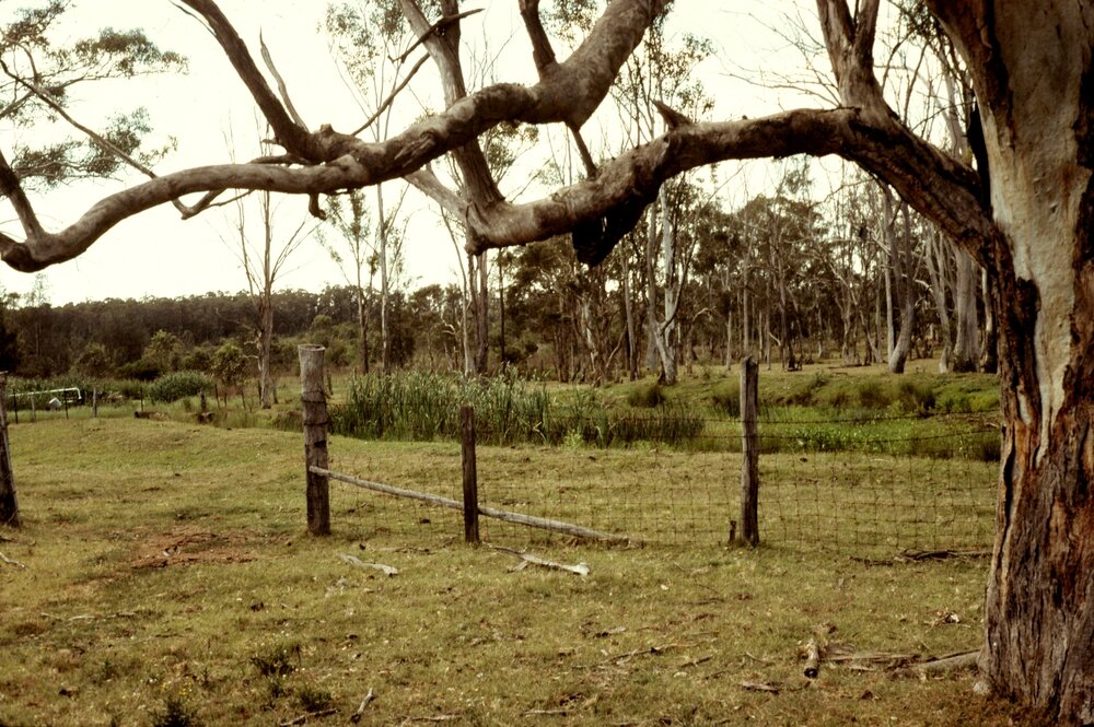 Blacktown Native Institution site, Oakhurst