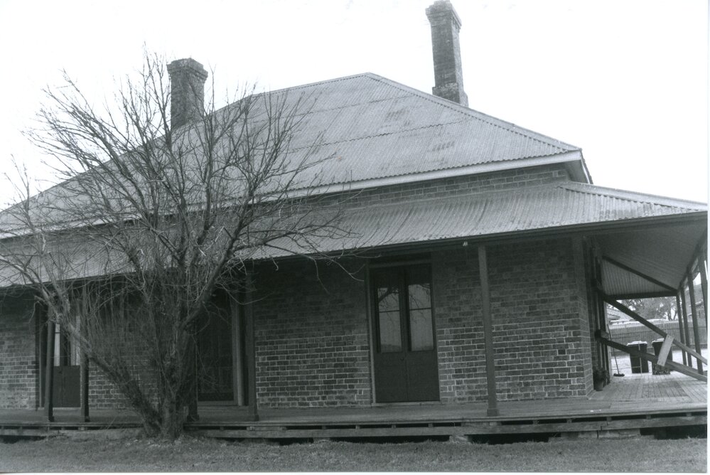 Neoblie, Mount Druitt