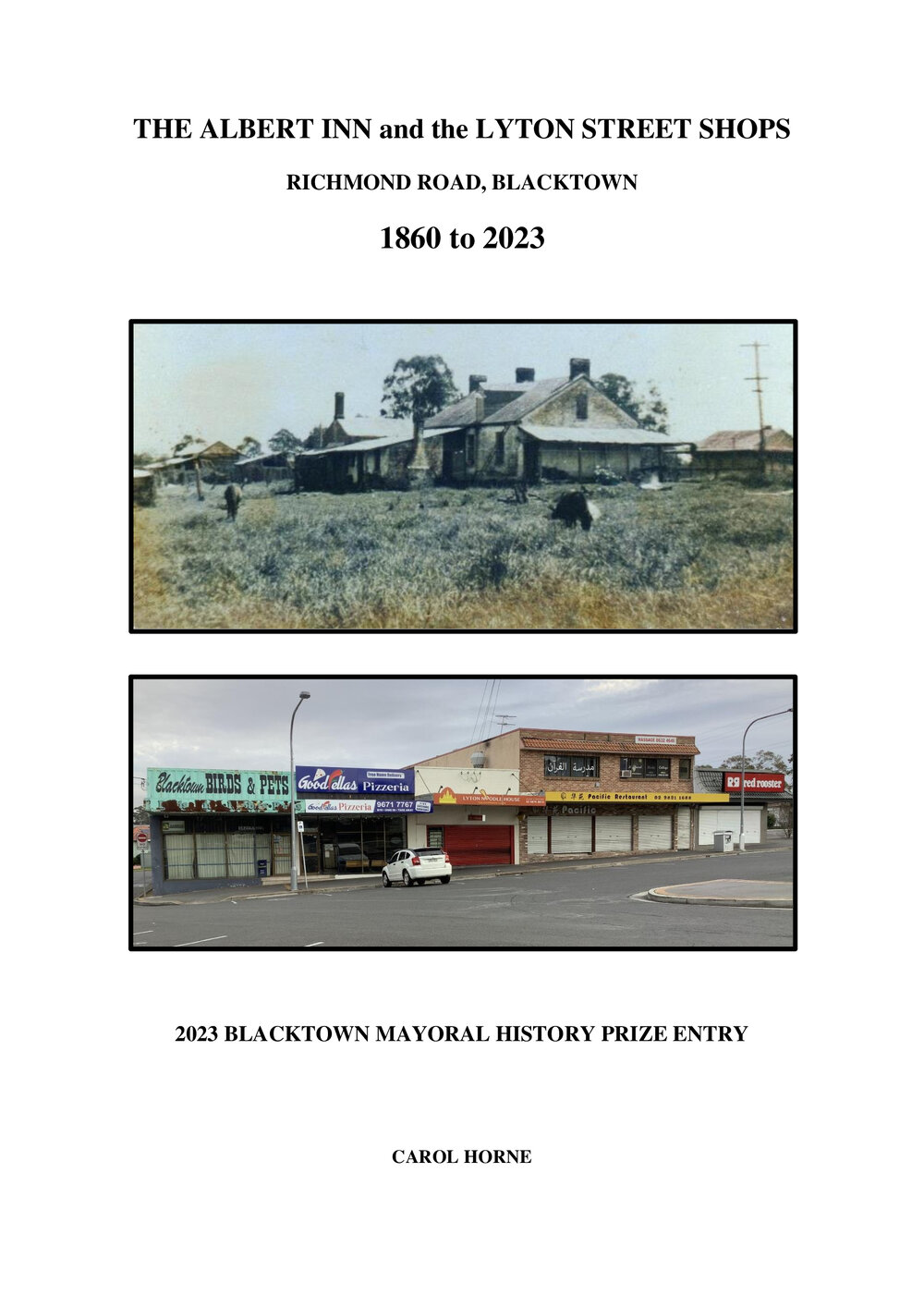 The Albert Inn and the Lyton Shops, Richmond Road, Blacktown 1860 to 2023  - Carol Horne