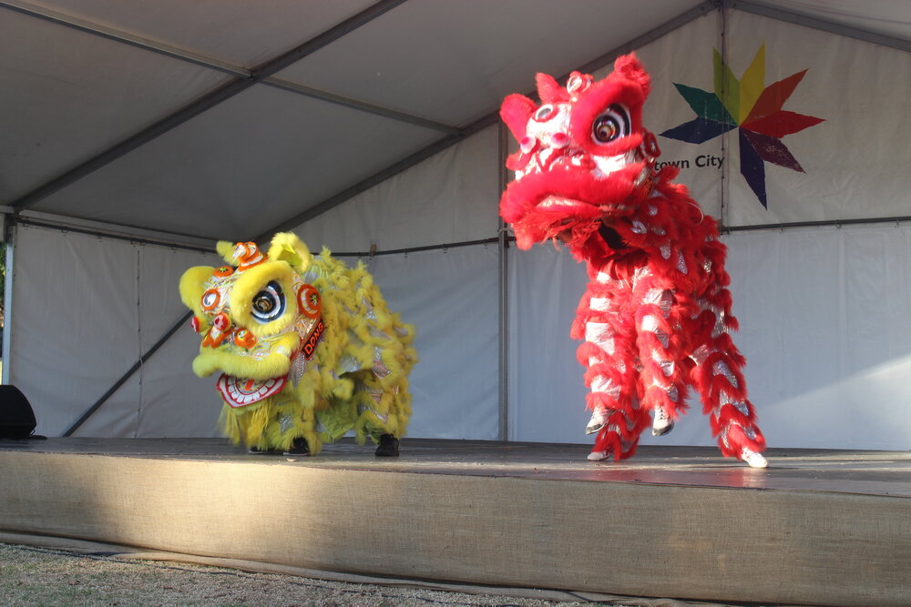 Chinese New Year 2014, Nurragingy Reserve