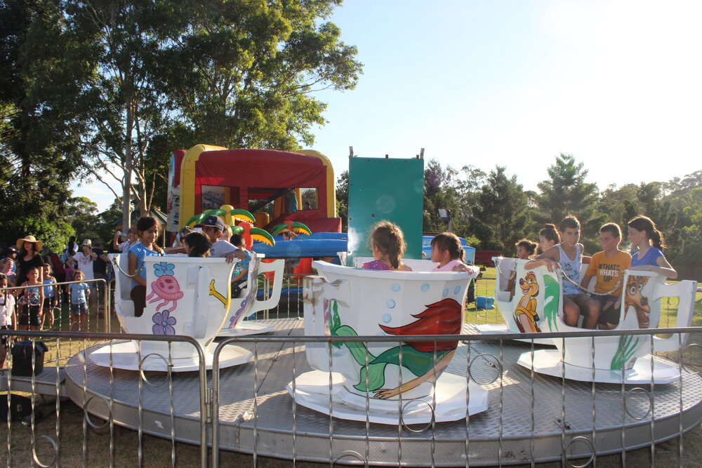 Chinese New Year 2014, Nurragingy Reserve