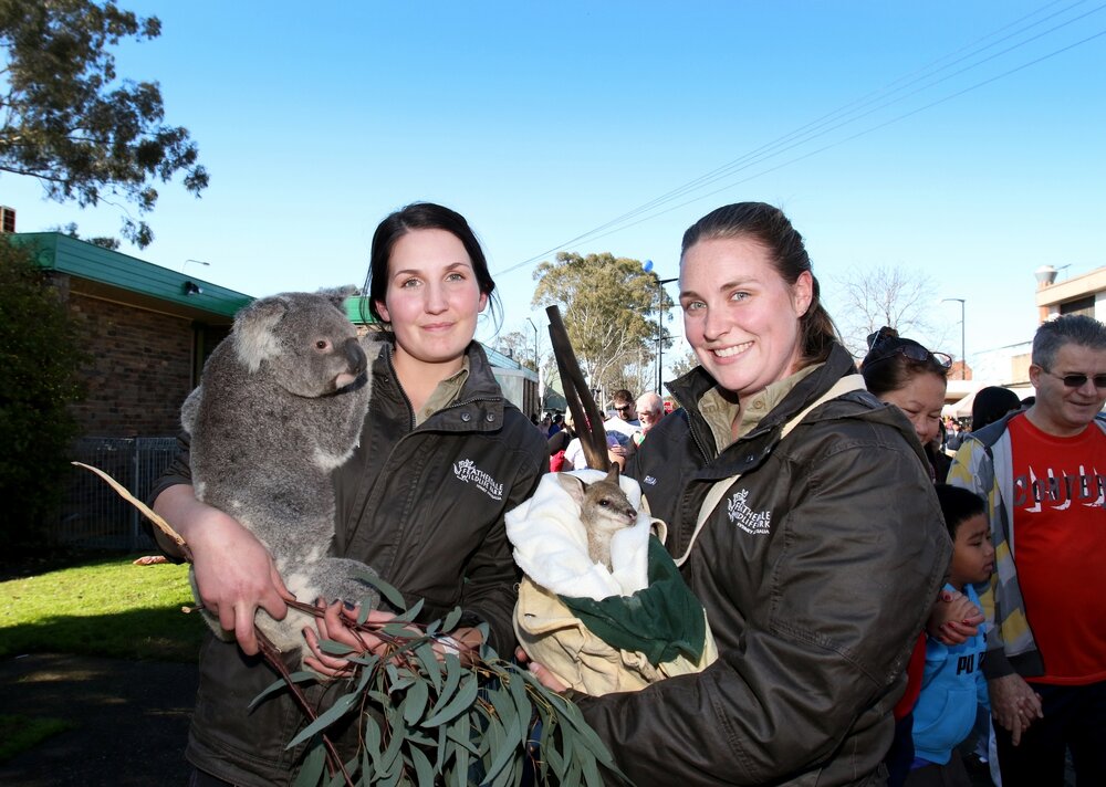Doonside Festival, 2015