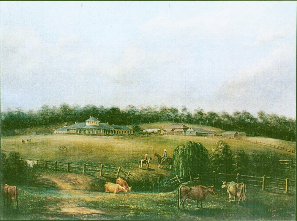 View of Bungarribee House and Estate