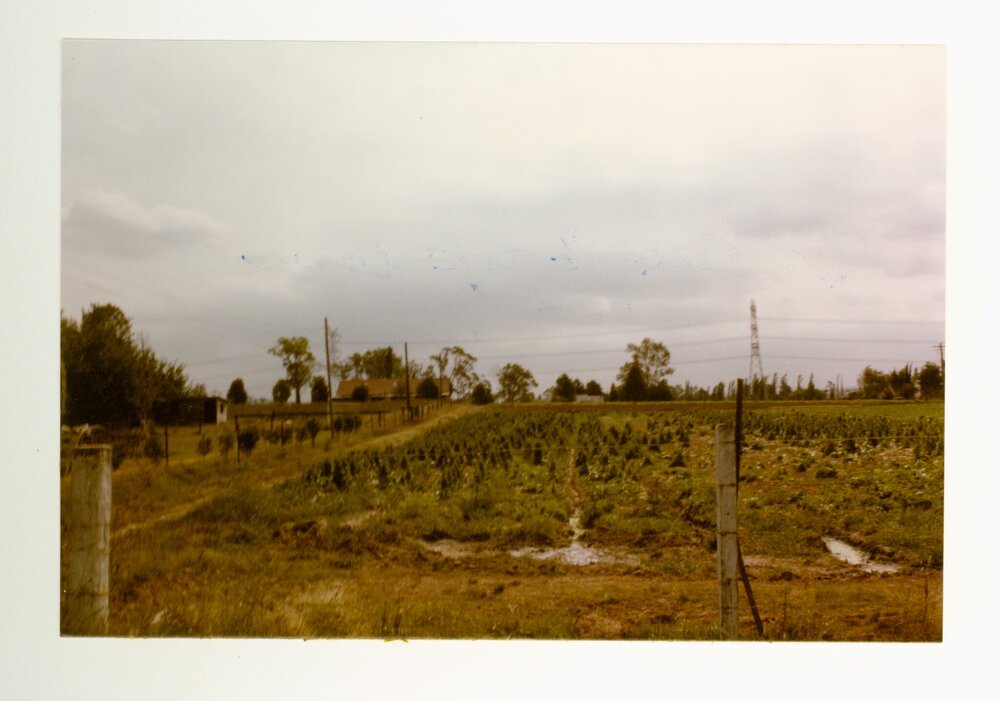 Cottage, 107 South Creek Road, Shanes Park