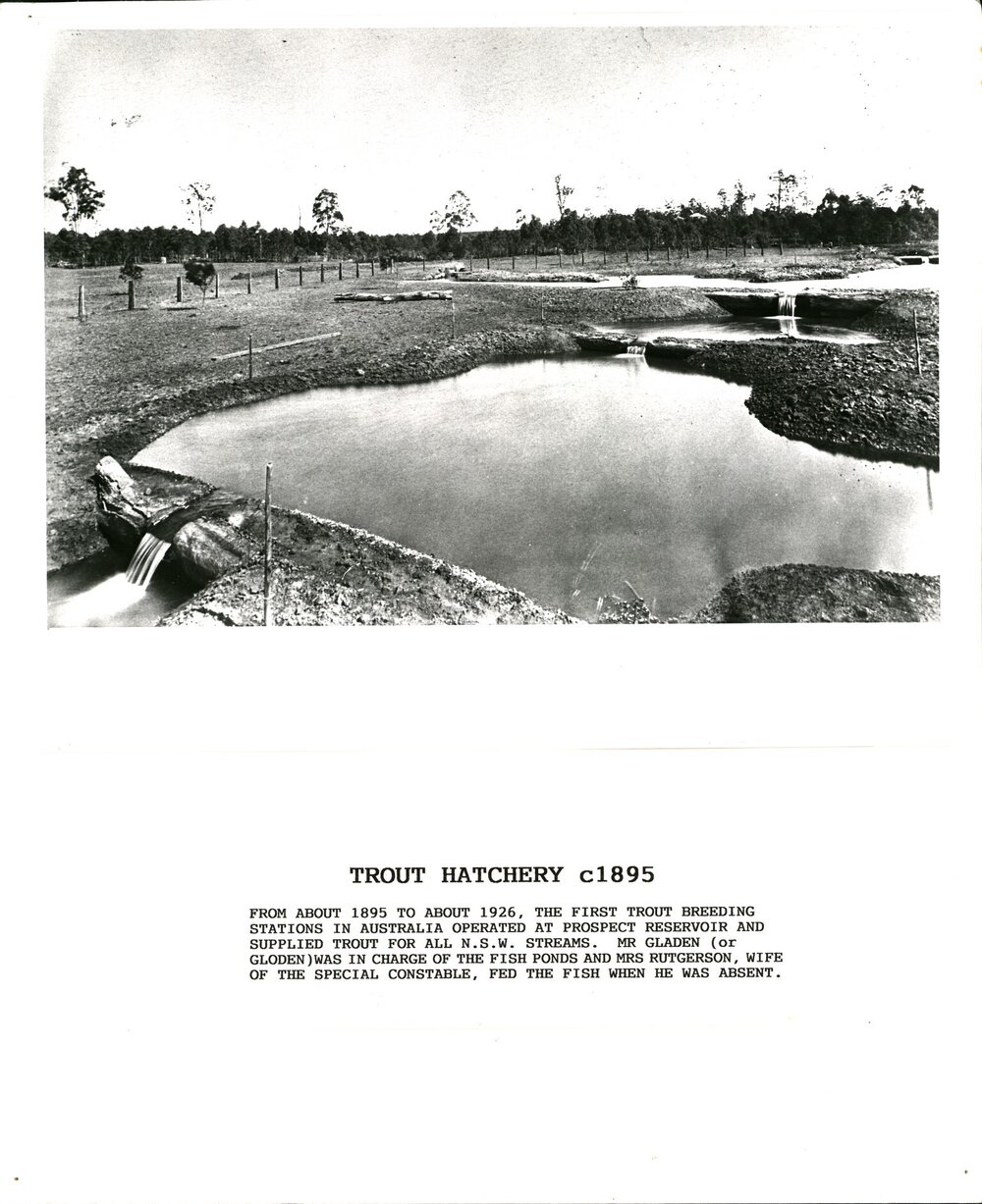 Trout Hatchery, Prospect
