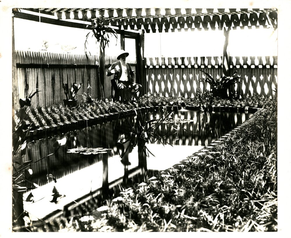 Fish Breeding Ponds, Prospect