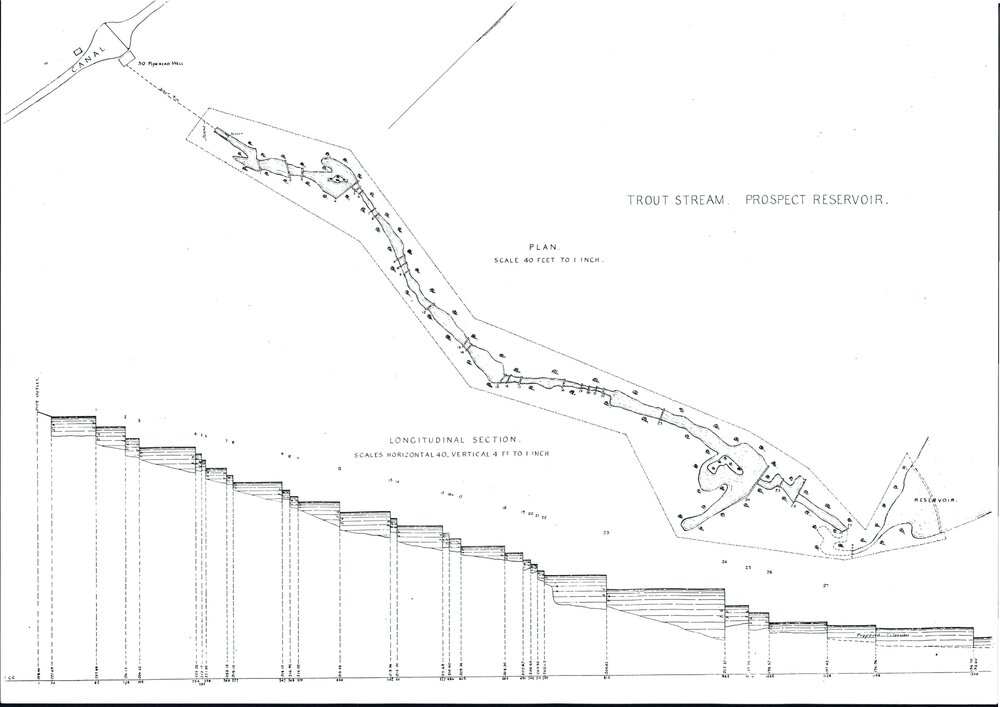 Trout Stream, Prospect Reservoir