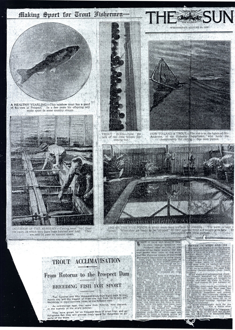 Prospect Reservoir trout hatchery newspaper article