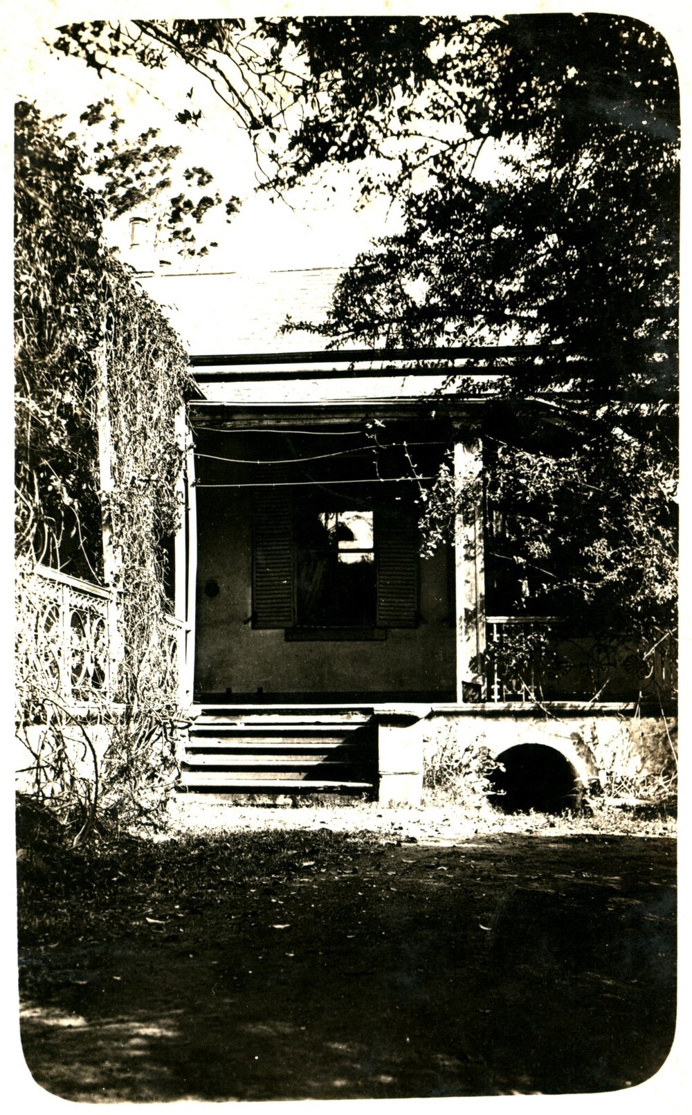 Grey Stanes House cellar entrance, Prospect