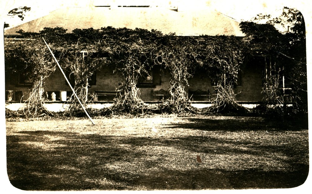 Grey Stanes House eastern elevation, Prospect