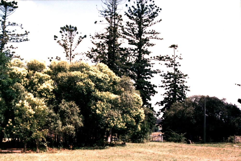 Veteran Hall site, Prospect Reservoir