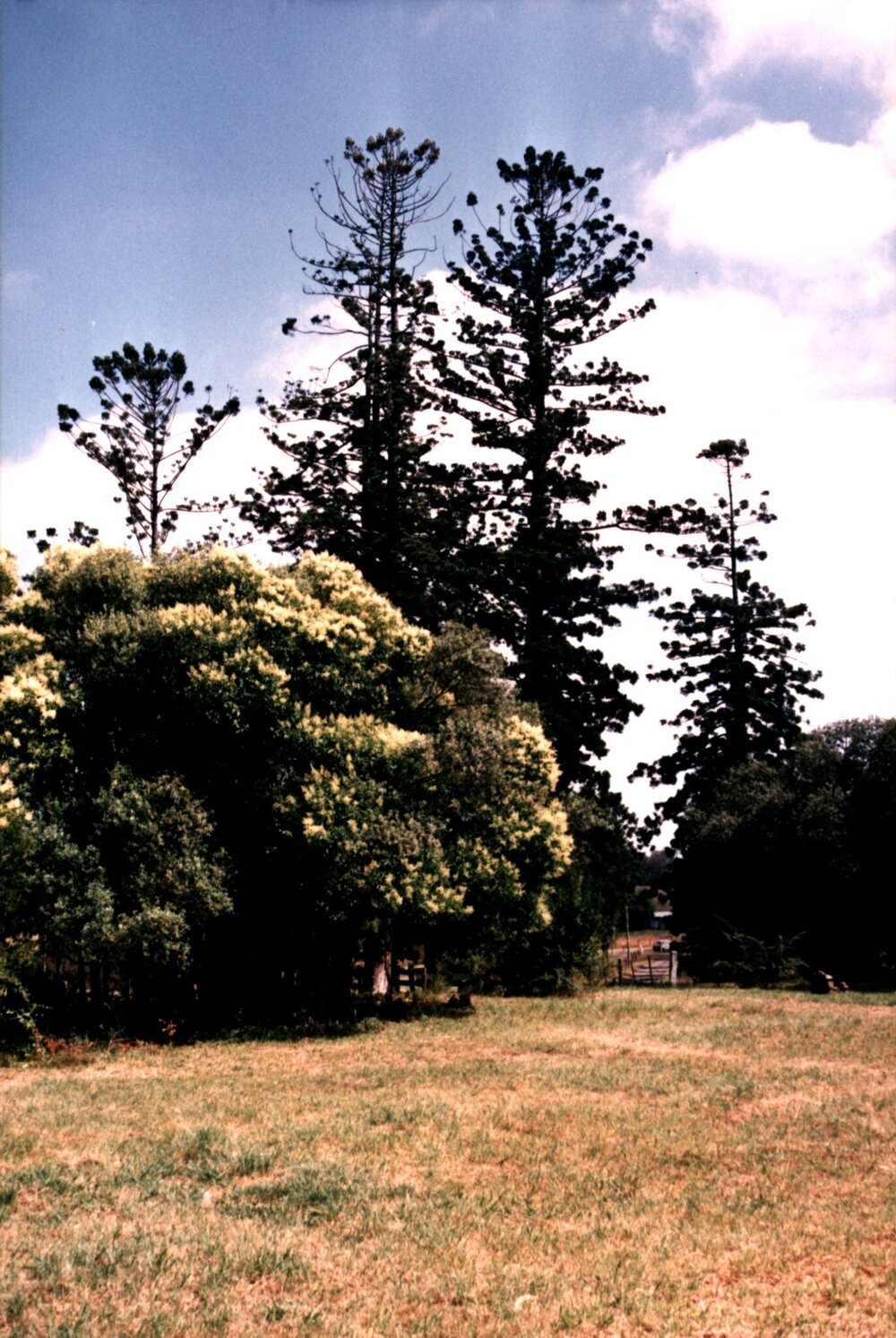 Veteran Hall site, Prospect Reservoir