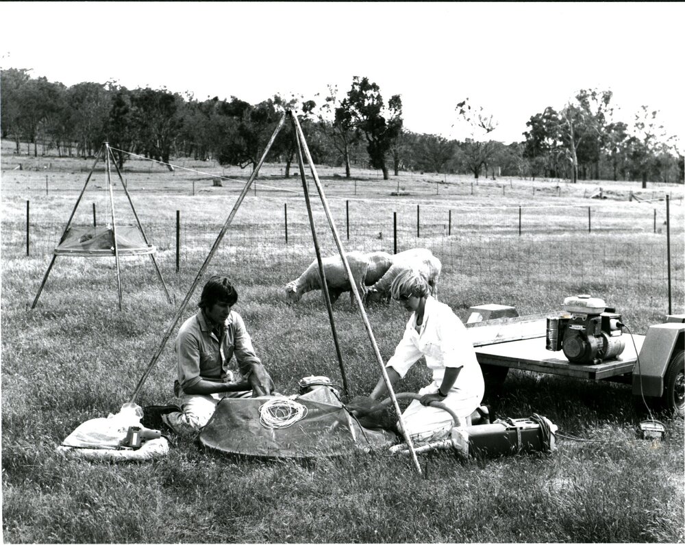 CSIRO fieldwork