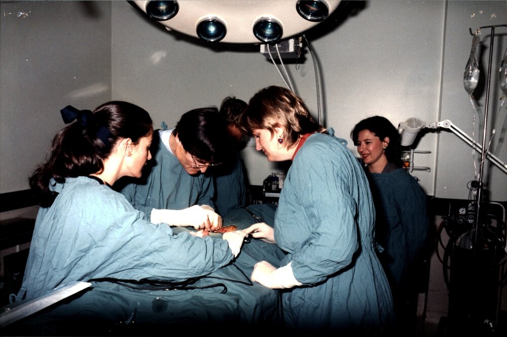 CSIRO operating theatre