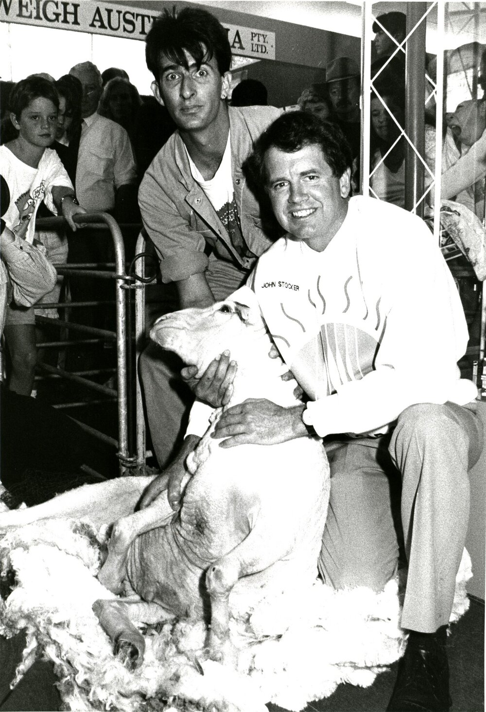 CSIRO sheep shearing
