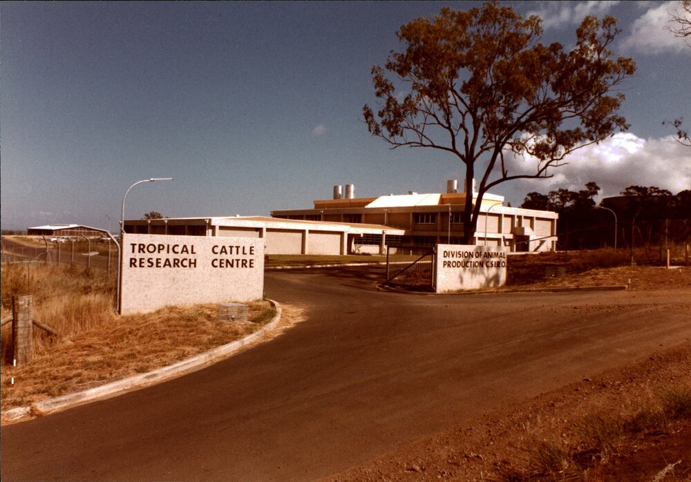 CSIRO Tropical Cattle Research Centre