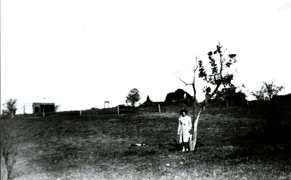 Unknown woman under a tree, Prospect