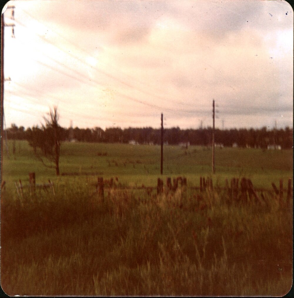 Rowood Road, Prospect