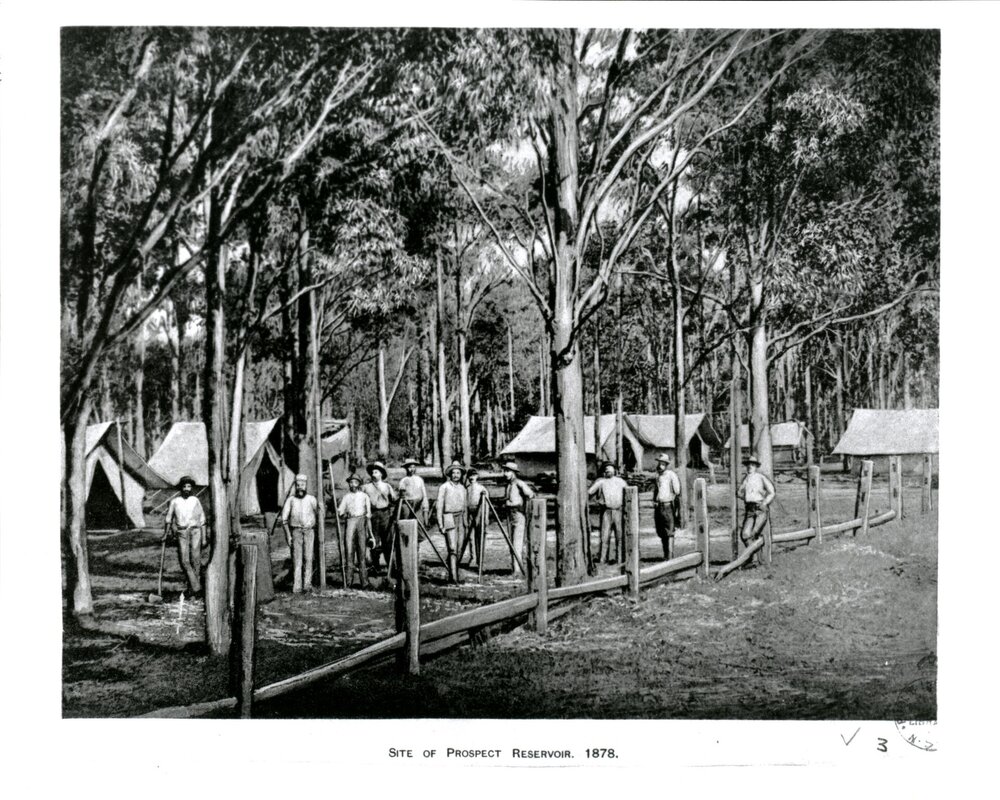 Site of the Prospect Reservoir, 1878