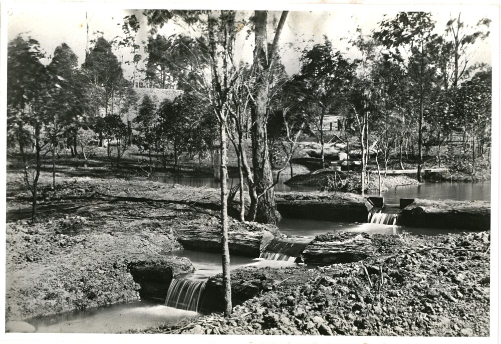Trout Stream, Prospect Reservoir