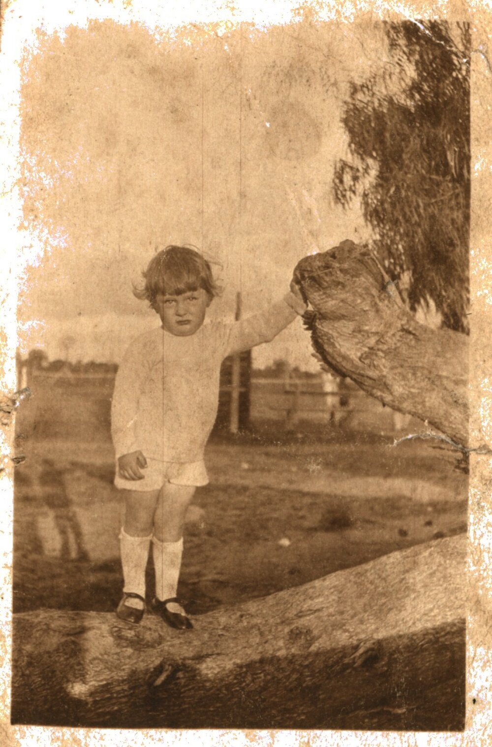 Bruce W. Lawson, Nyngan, 1919