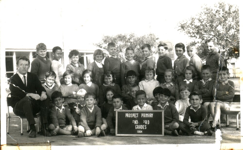 Class photograph, Prospect Public School, 1964