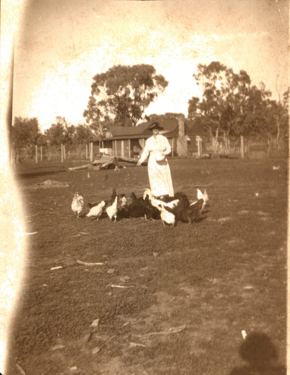 Ivy Evelyn Lawson, Nyngan, 1919