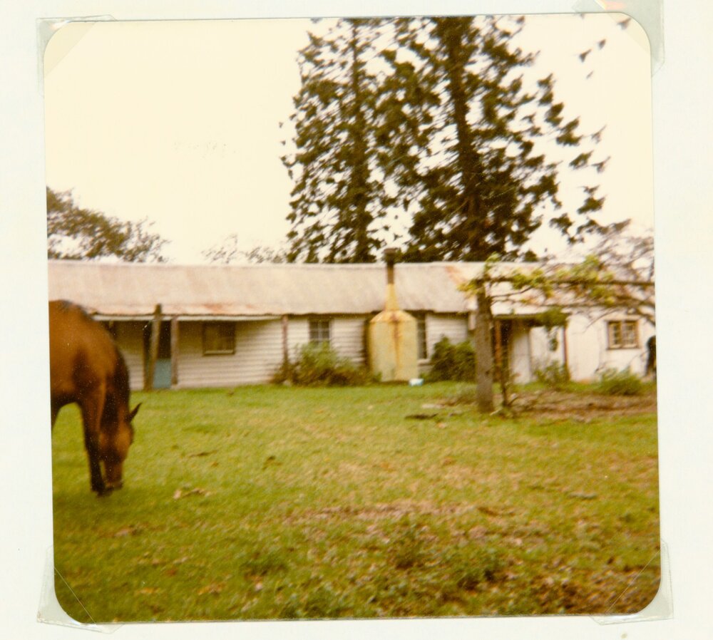 Bella Vista farm outbuilding, Bella Vista, 1981