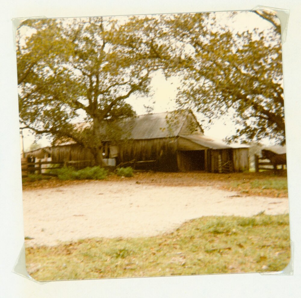 Bella Vista farm outbuilding, Bella Vista, 1981