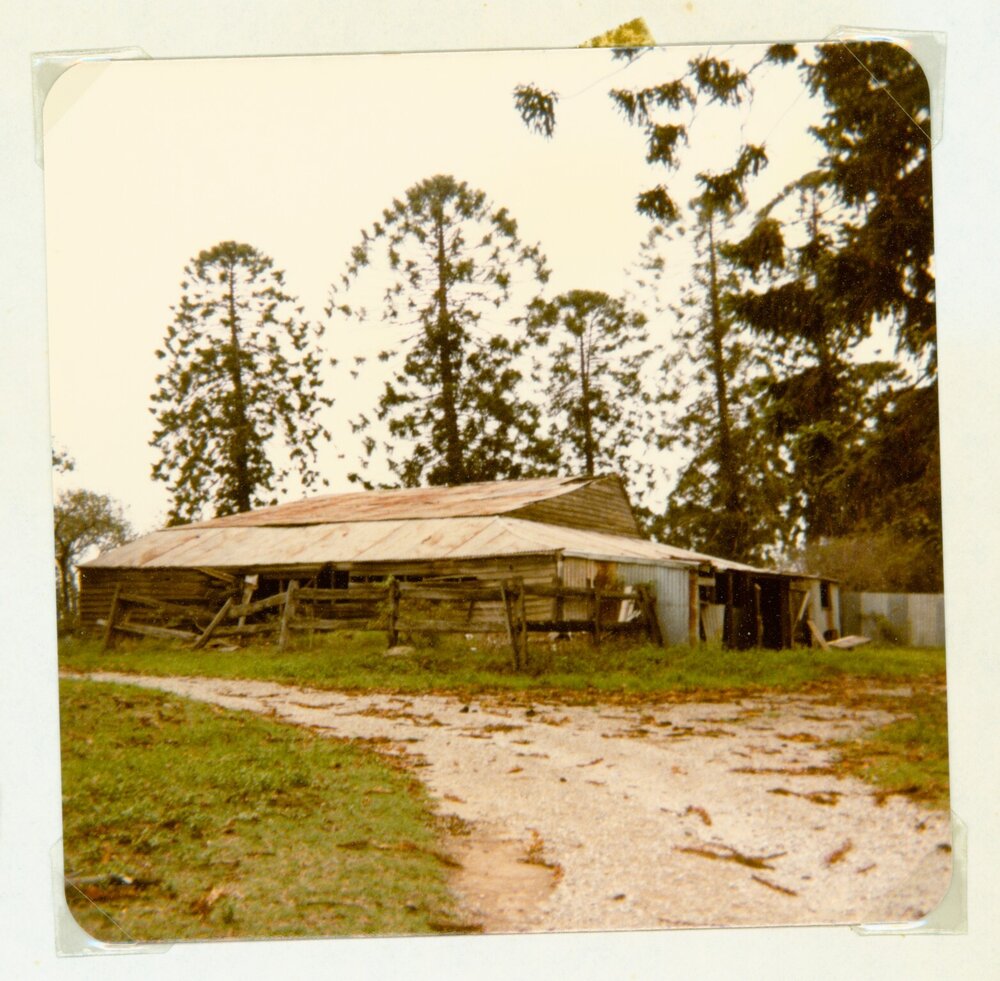 Bella Vista farm outbuilding, Bella Vista, 1981
