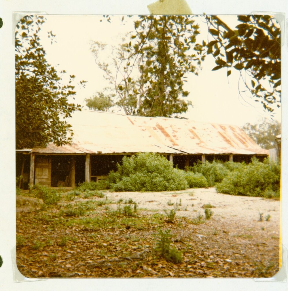 Bella Vista farm outbuilding, Bella Vista, 1981