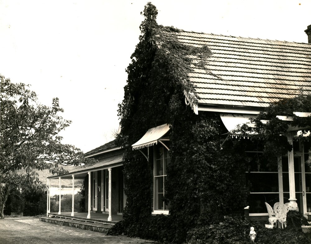 William Lawson's 'Putta Bucca', Mudgee