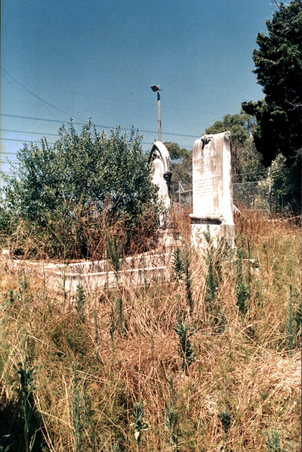 St Bartholomew's overgrown cemetery