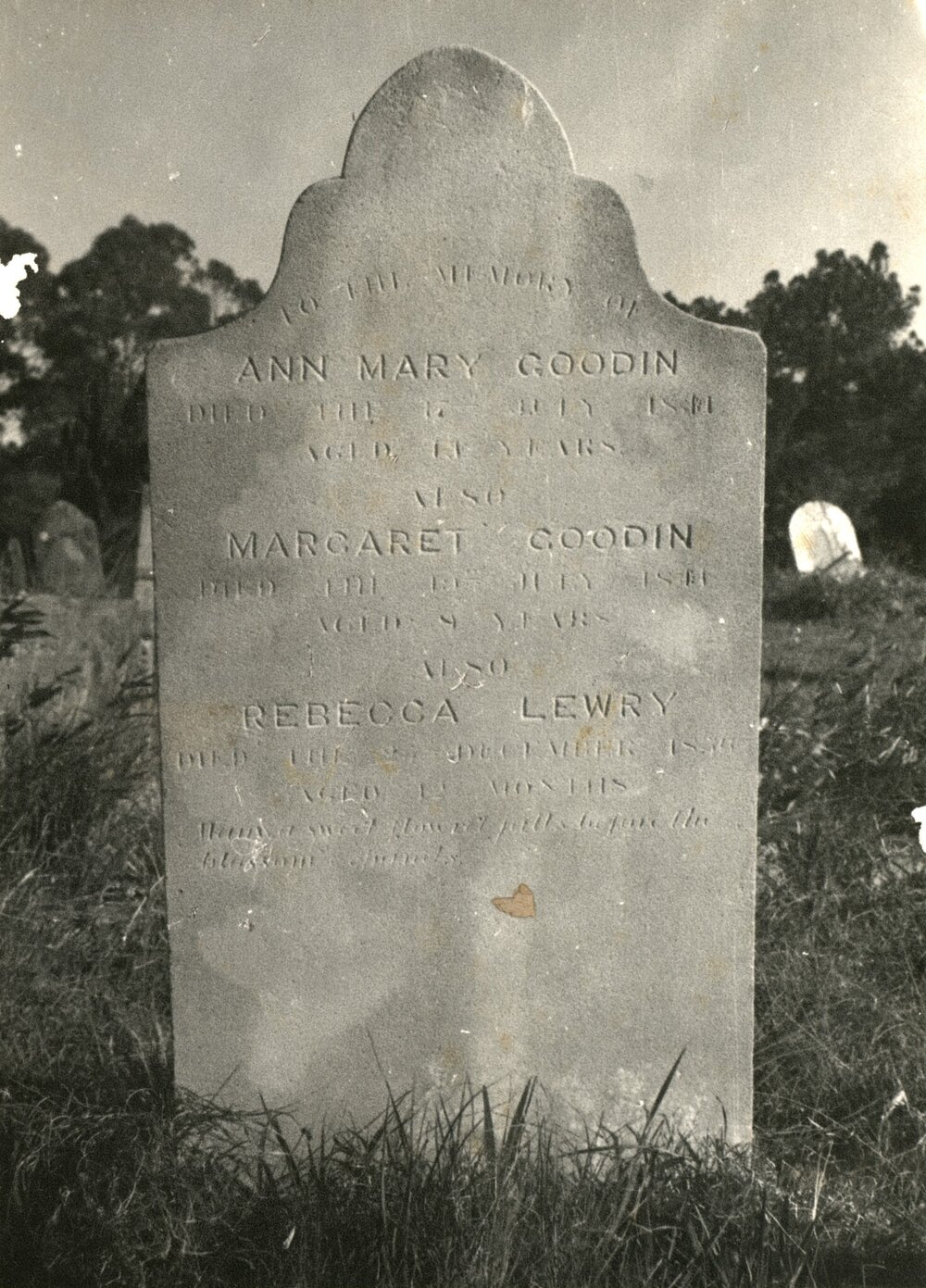 Goodin grave, St Bartholomew's, Prospect