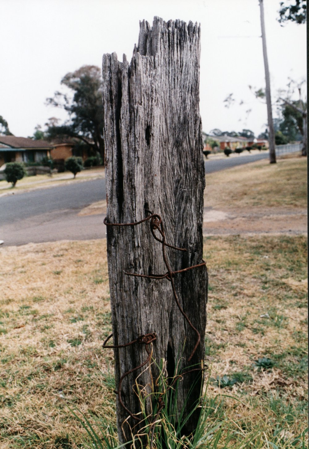 Fence post at Watts Cottage, Rooty Hill