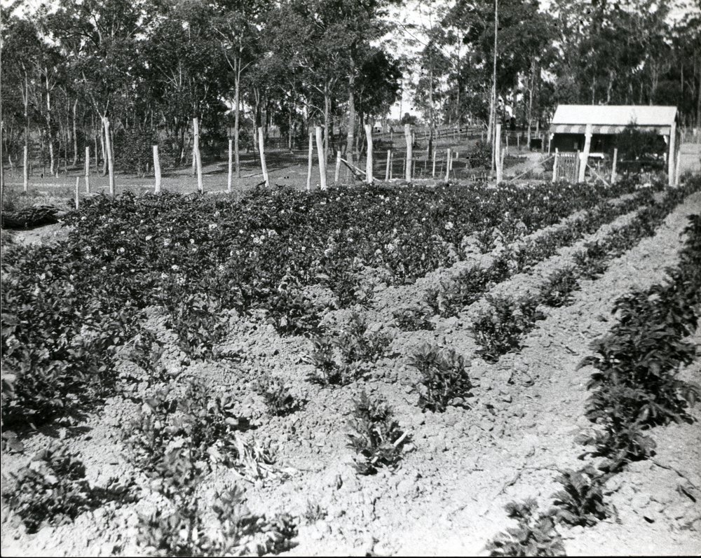 Market Garden, Stephen Street