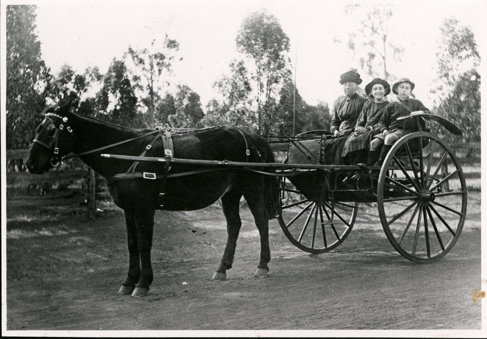 Burrowes family on horse and dray