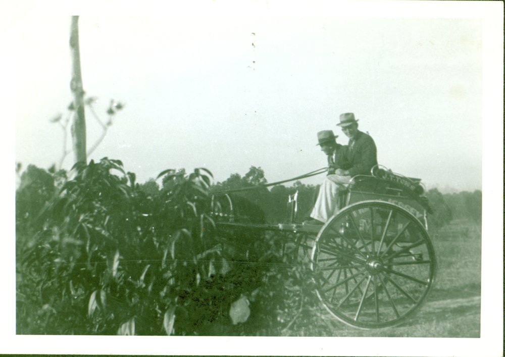 Photograph of two men on milk cart
